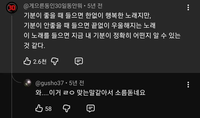 < 하울의 움직이는 성> 인생의 회전목마
