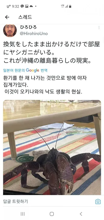 오키나와에 살면 얻는 선물..ㄷㄷ