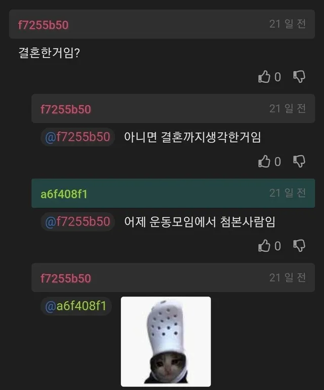 삶은 계란 못깐다고 구박당해 이혼 생각중인 개붕이