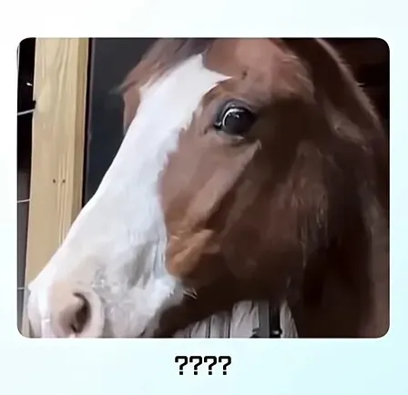 온몸에 줄무늬 문신한 친구 처음 봄