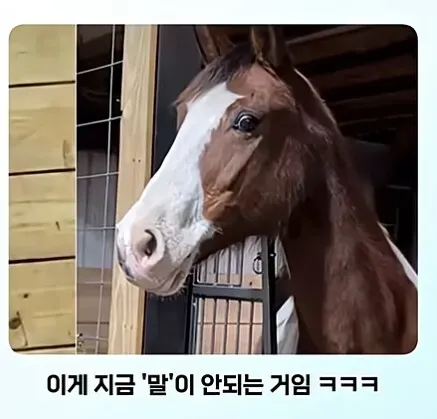 온몸에 줄무늬 문신한 친구 처음 봄