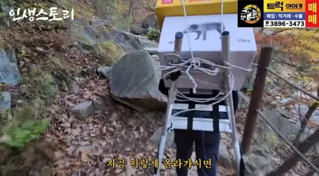 일당 30만원 줘도 추노한다는 북한산 곰방.jpg