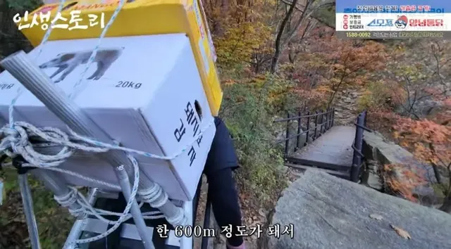 일당 30만원 줘도 추노한다는 북한산 곰방.jpg