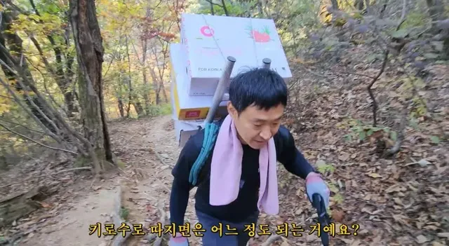 일당 30만원 줘도 추노한다는 북한산 곰방.jpg