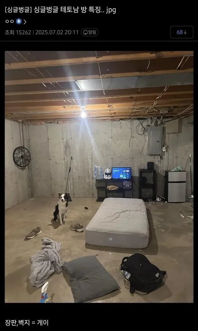 테토남 방 특징 ㄹㅇ...jpg