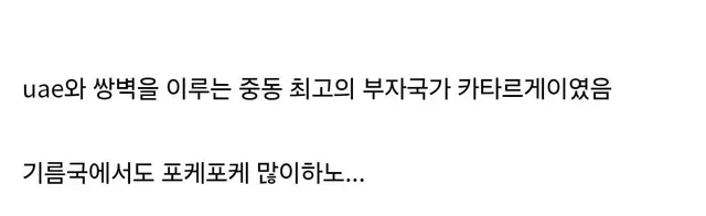 포켓몬카드 14만장 보유한 카타르 석유부자 만난 포갤럼.jpg