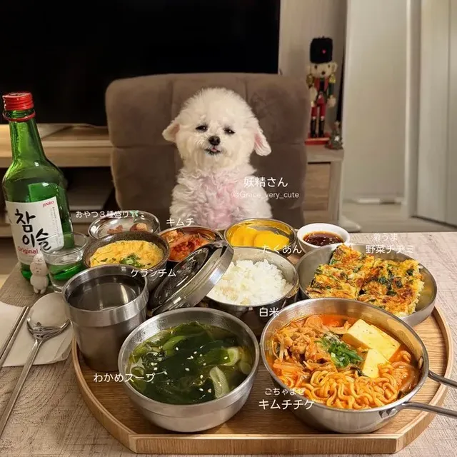 일본인이 생각하는 한식