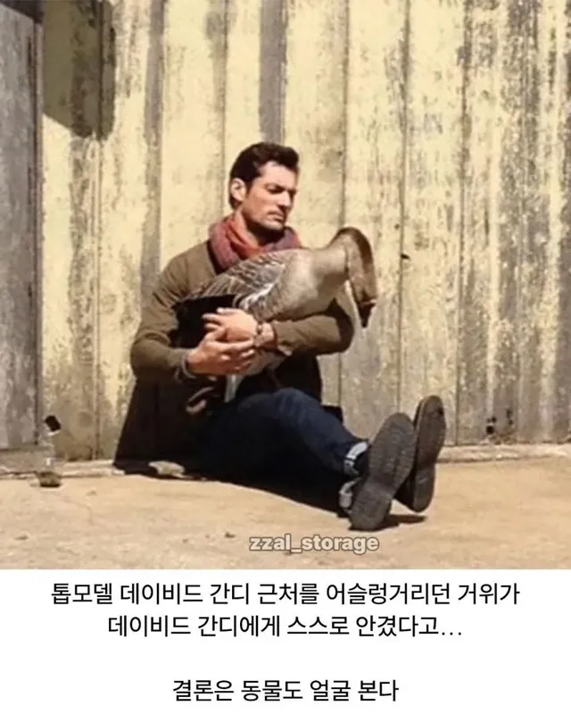 길냥이가 나만 보면 도망치는 이유