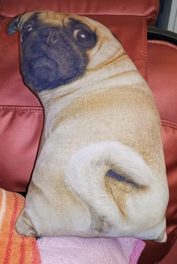 아니 누가 개를 은행에 놔두고 갔어?