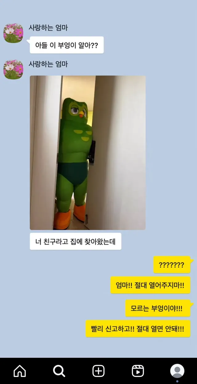 정신나간 것 같다는 듀오링고 SNS 담당자