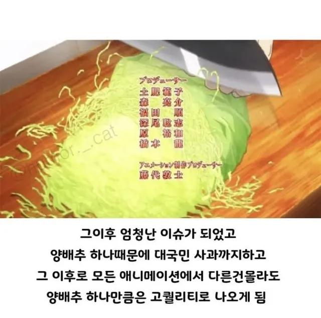 애니메이션 업계에서 양배추란?