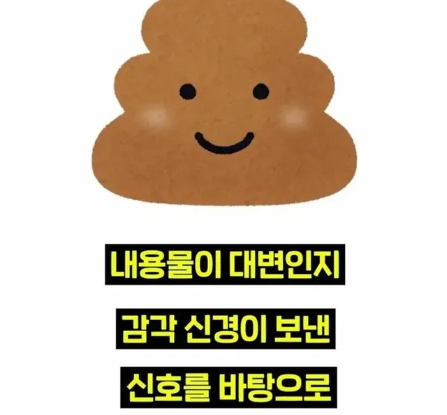 우리 뇌가 방귀와 똥을 구분하는 방법