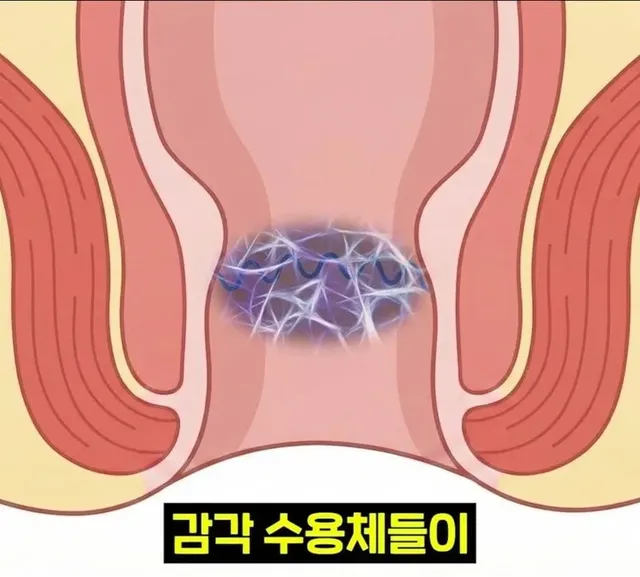우리 뇌가 방귀와 똥을 구분하는 방법