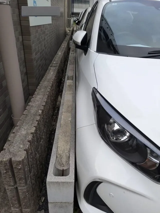 주차의 달인들.