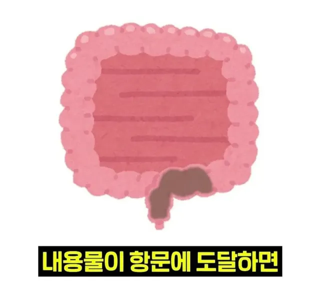 우리 뇌가 방귀와 똥을 구분하는 방법