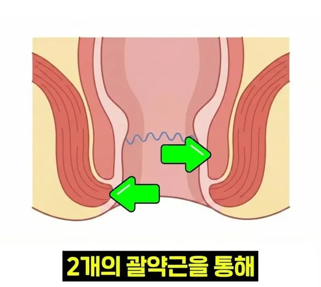 우리 뇌가 방귀와 똥을 구분하는 방법