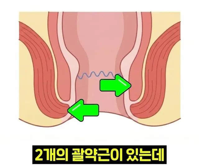 우리 뇌가 방귀와 똥을 구분하는 방법