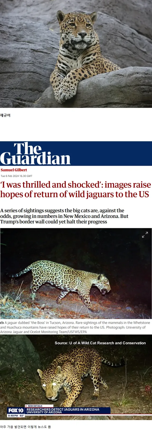 미국에서 아주 가끔 발견되는 희귀한 동물