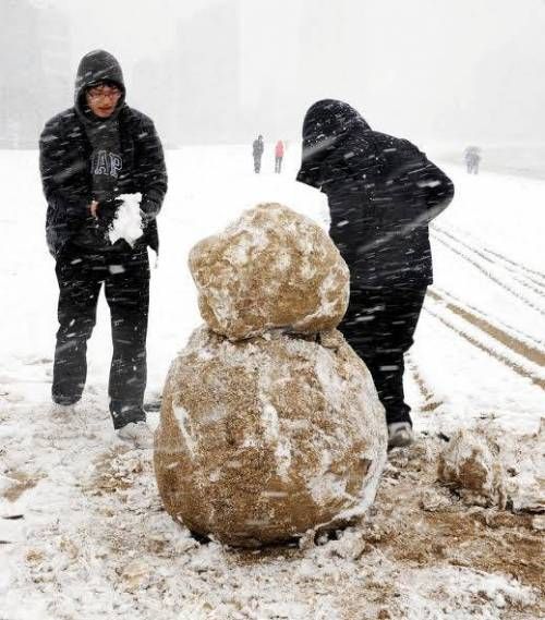부산 폭설 vs 강원도 폭설 비교