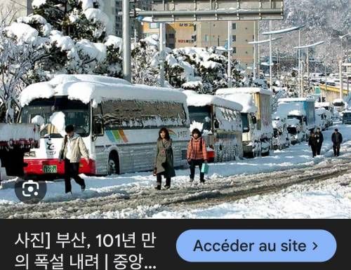 부산 폭설 vs 강원도 폭설 비교