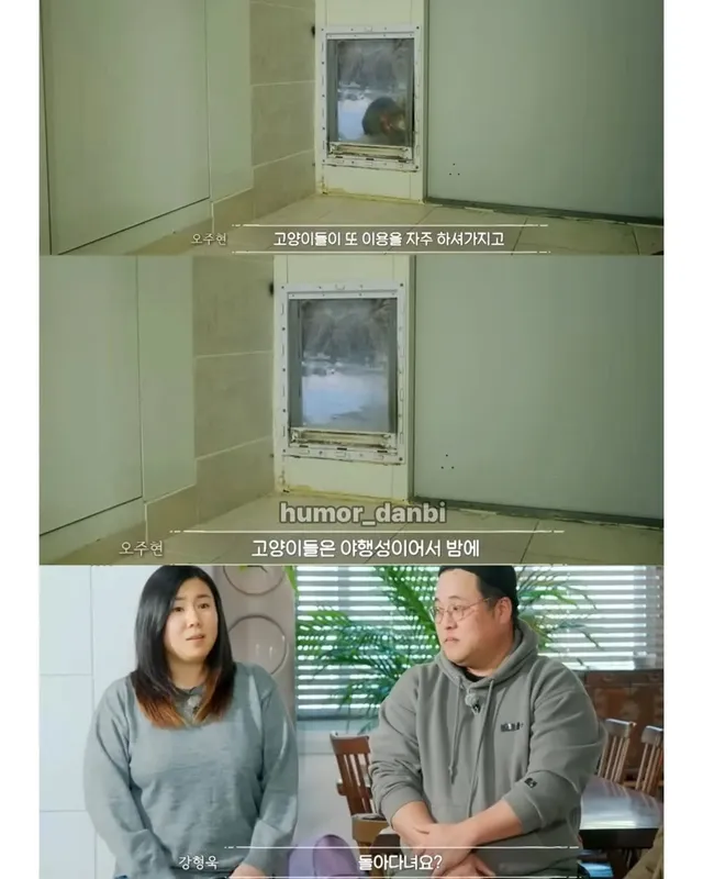 진짜로 동물을 사랑하는 사람.jpg