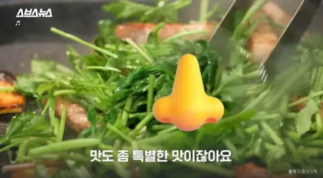 진짜로 일본에서 갑자기 확 뜬 식재료