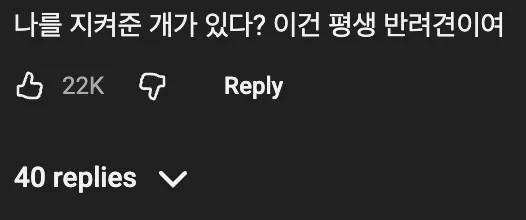 🐶 모르는 개의 머리를 쓰다듬어 줬는데 뭔가 이상함을 느낀 사람 🤔