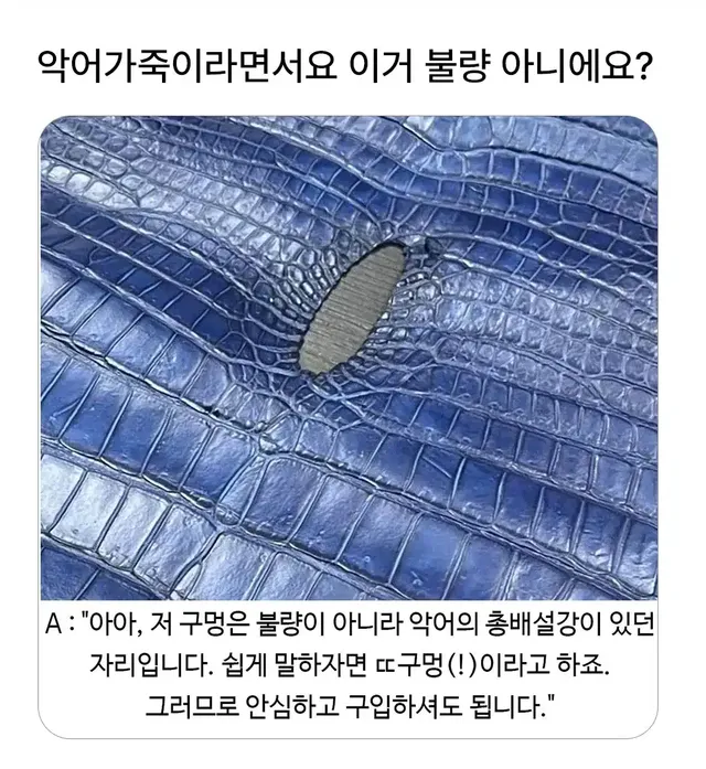 이 악어가죽 불량 아닌가요?.jpg
