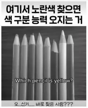 현재 미술 전공자 98%만 맞춘다는 색 구분능력