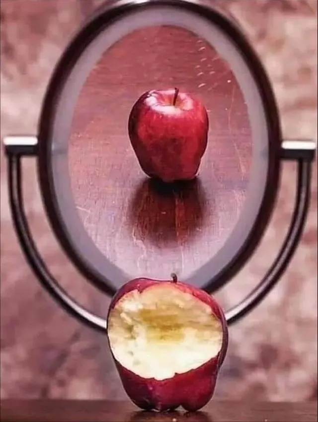 메시지가 있는 일러스트들.jpg