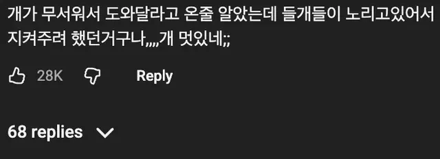 🐶 모르는 개의 머리를 쓰다듬어 줬는데 뭔가 이상함을 느낀 사람 🤔