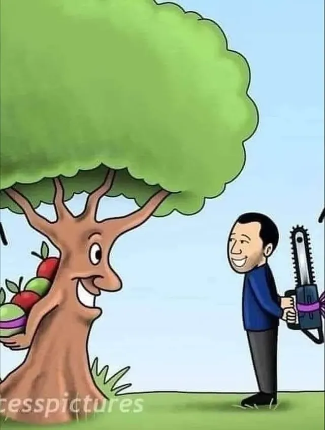 메시지가 있는 일러스트들.jpg