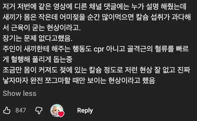 🐕 몸이 굳어버린 새끼 강아지 🐶