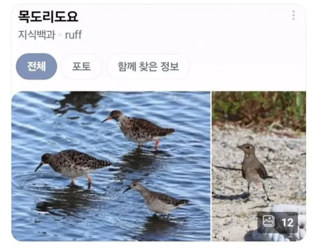 너무 춥네요 겉옷 잘 챙겨입으세요 그리고...