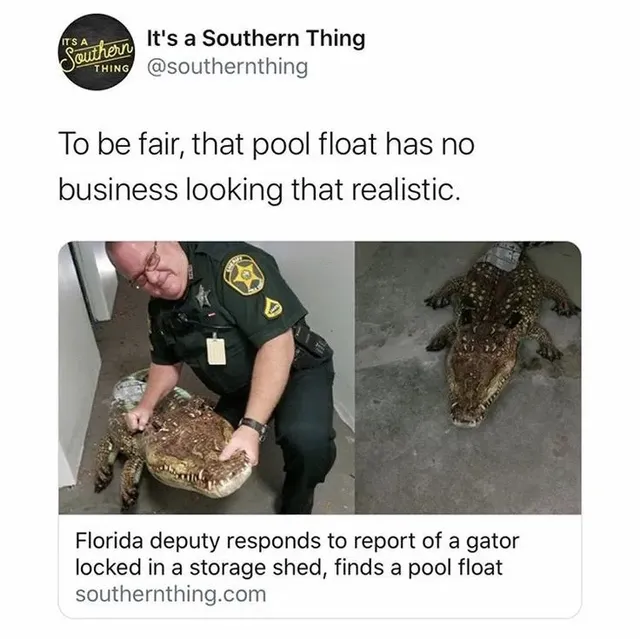 창고에 악어가 있다고 신고 들어옴