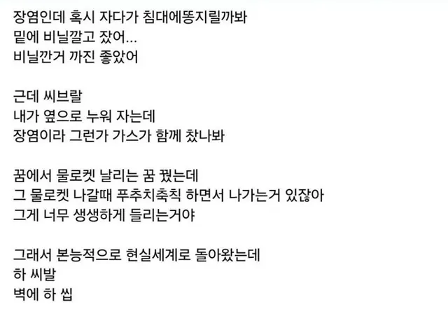 장염 걸려서 똥 지릴까봐 비닐 깔았다는 사람.jpg