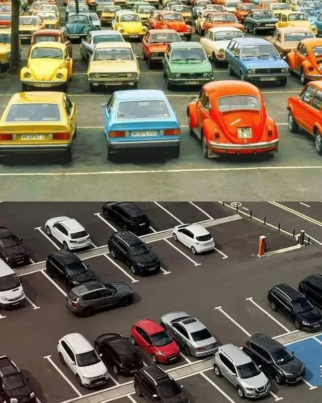 세상이 색을 잃어가고 있다