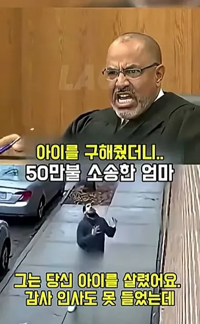 [스압] 아이를 구해줬더니 50만불 소송한 애엄마