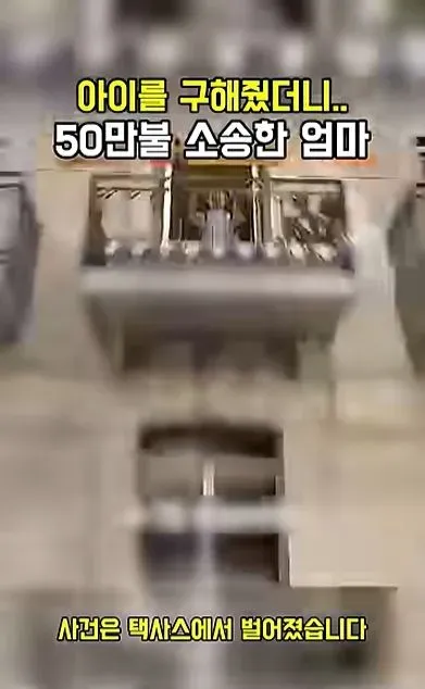 [스압] 아이를 구해줬더니 50만불 소송한 애엄마