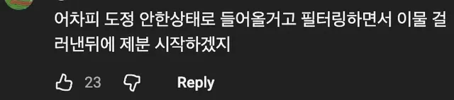 약혐) 🌾🛳 곡물운반선에 새를 막기 위한 그물을 치지 않는 이유 🦅