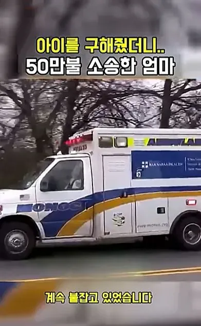 [스압] 아이를 구해줬더니 50만불 소송한 애엄마
