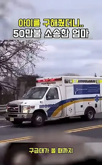 [스압] 아이를 구해줬더니 50만불 소송한 애엄마