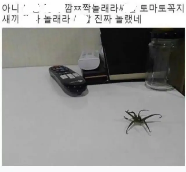 토마토 꼭지 보고 놀란 사람.JPG