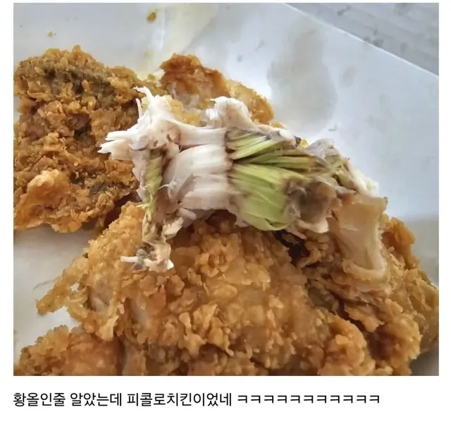 황올먹는데 이거 뭐냐