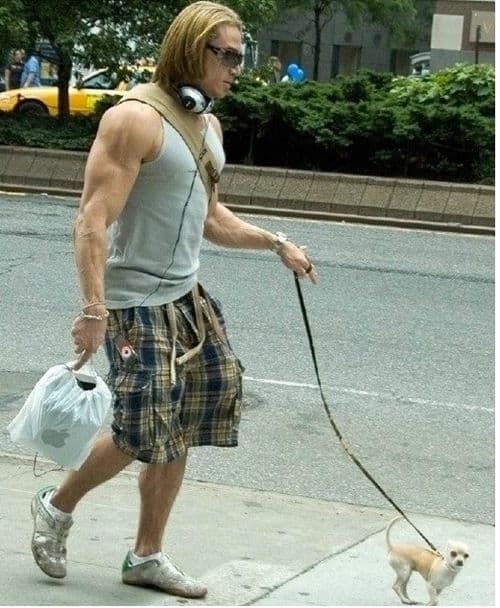 반전 애완견.jpg