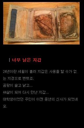 24년만에 돌아온 지갑.jpg