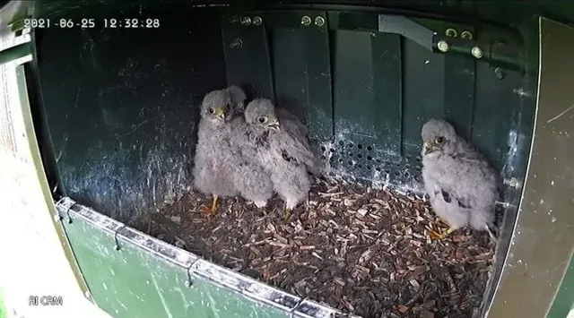 코스믹 호러란 무엇인가