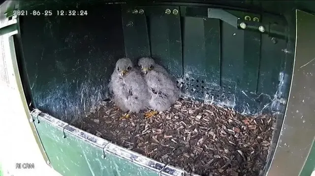 코스믹 호러란 무엇인가