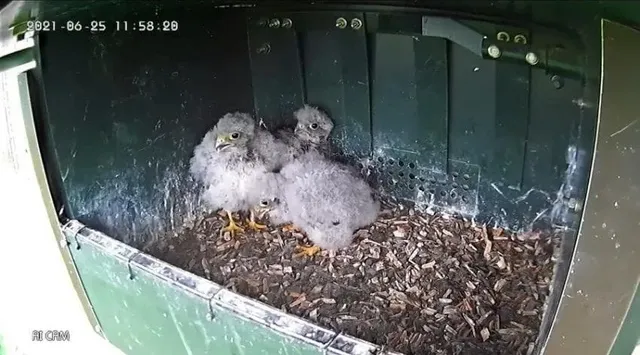 코스믹 호러란 무엇인가