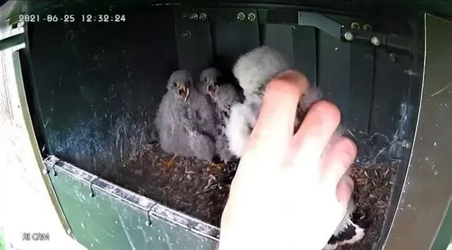 코스믹 호러란 무엇인가